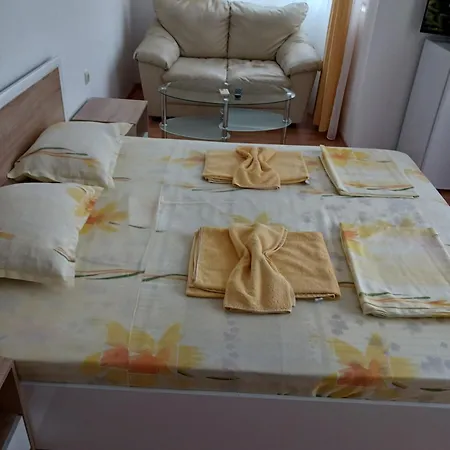 Vasilevi Guest house