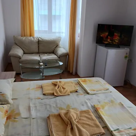 Guest house Vasilevi *