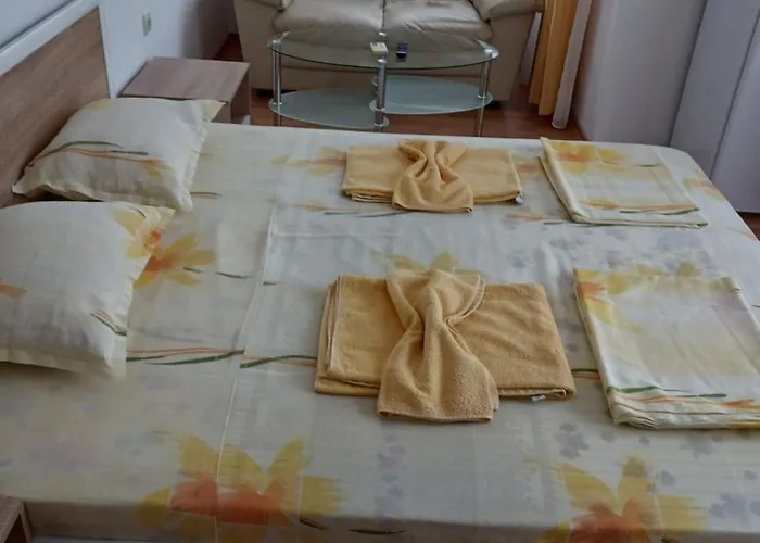 Vasilevi Guest house