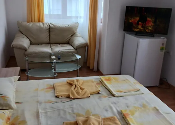 Guest house Vasilevi 4*